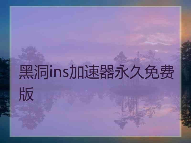黑洞ins加速器永久免费版