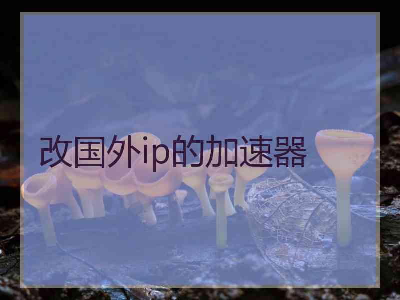 改国外ip的加速器