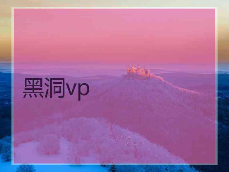 黑洞vp