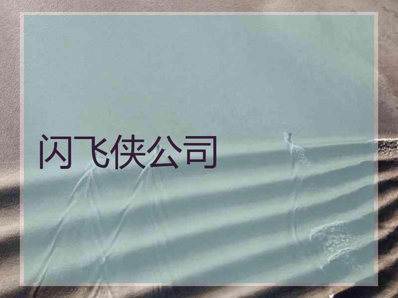 闪飞侠公司