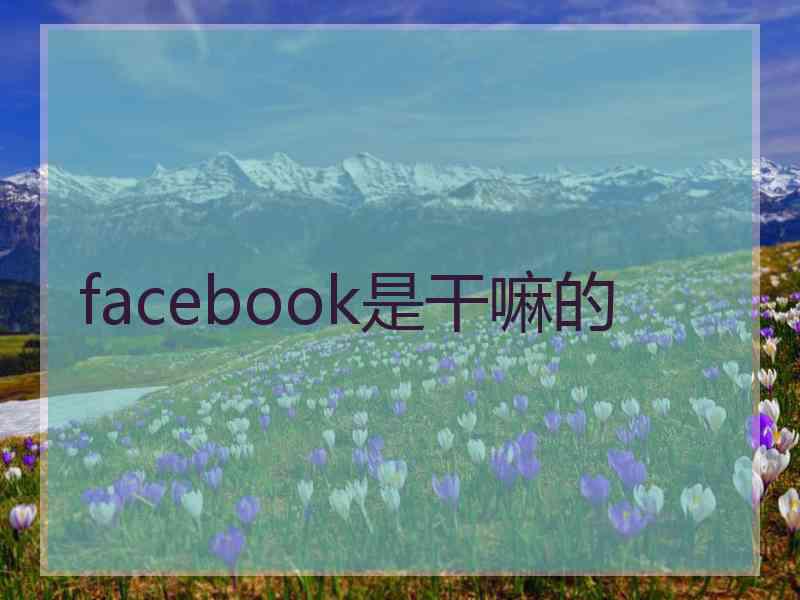 facebook是干嘛的