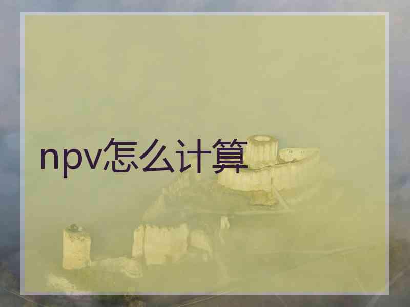 npv怎么计算