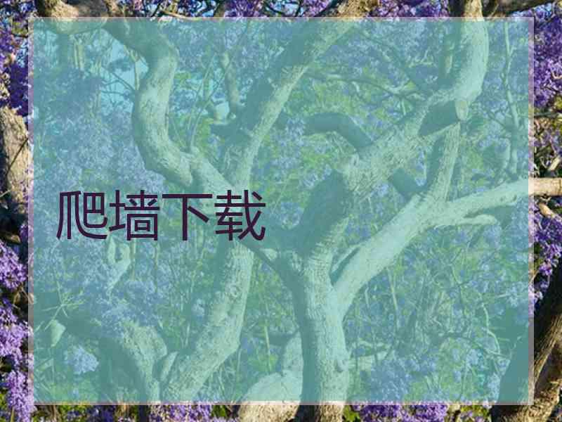 爬墙下载