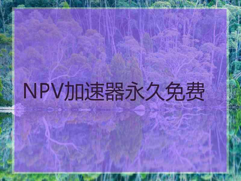 NPV加速器永久免费