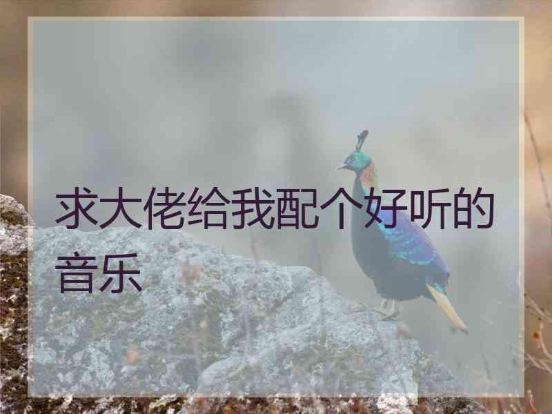 求大佬给我配个好听的音乐
