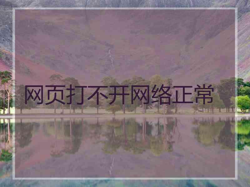 网页打不开网络正常