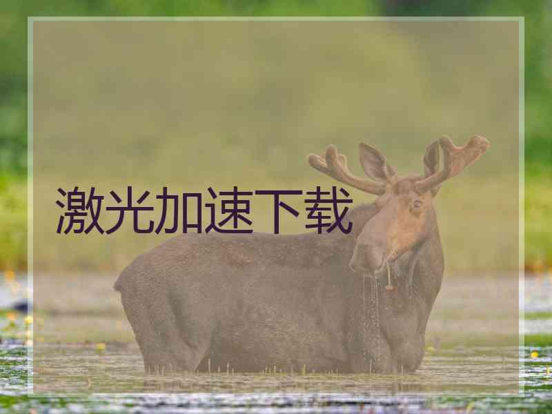 激光加速下载