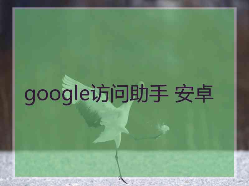 google访问助手 安卓