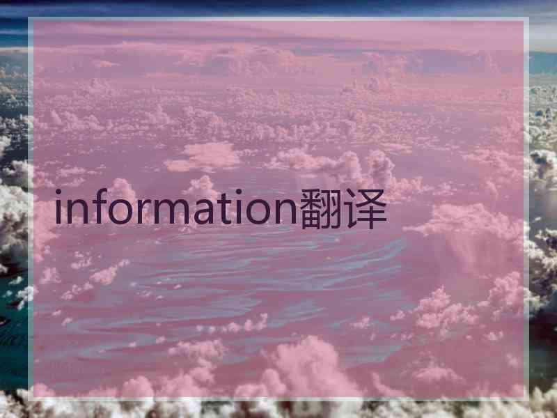 information翻译