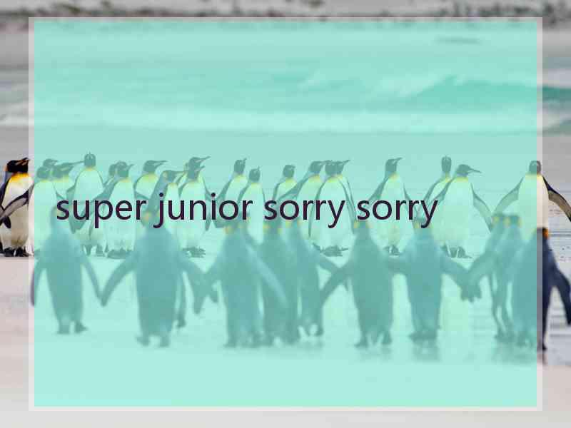 super junior sorry sorry