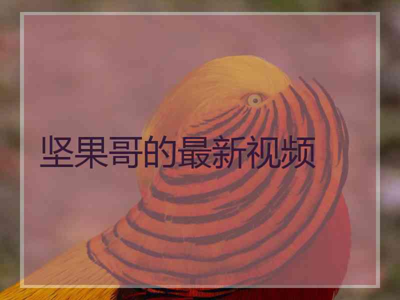 坚果哥的最新视频