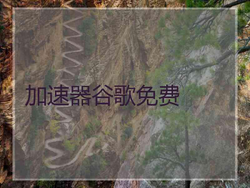 加速器谷歌免费