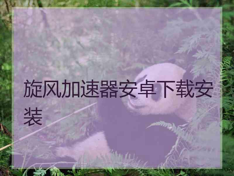 旋风加速器安卓下载安装