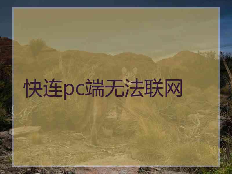 快连pc端无法联网