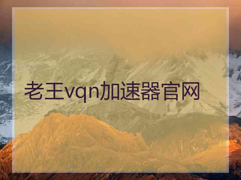 老王vqn加速器官网