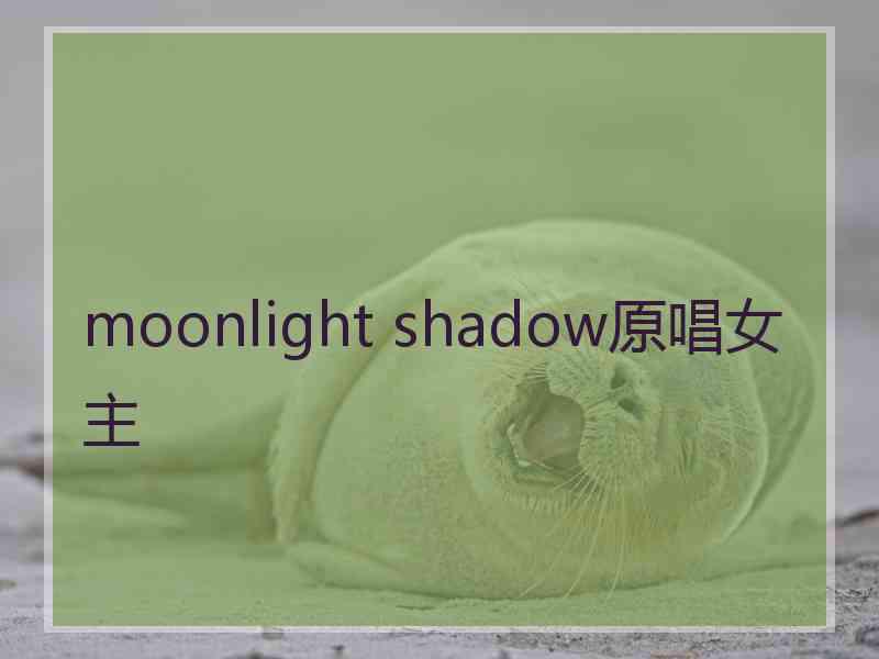 moonlight shadow原唱女主