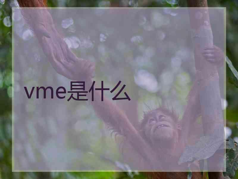 vme是什么