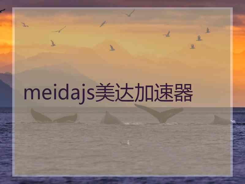 meidajs美达加速器