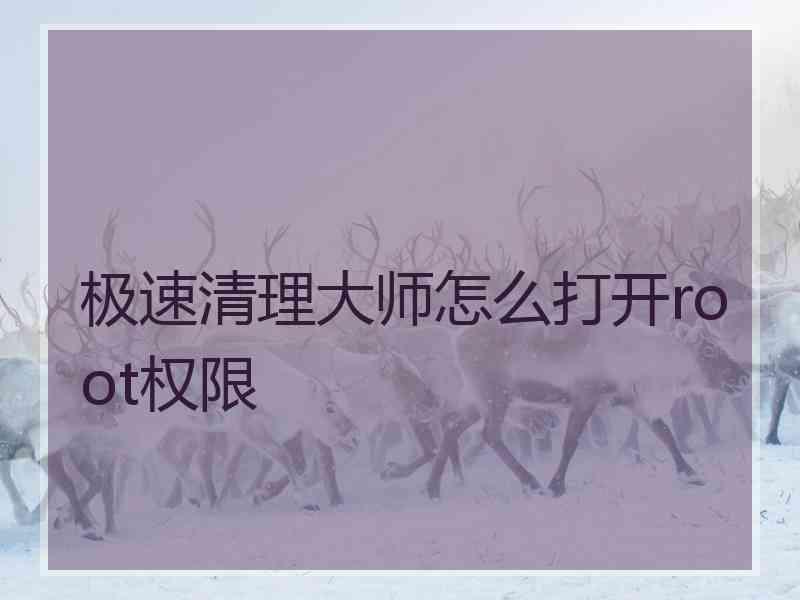 极速清理大师怎么打开root权限