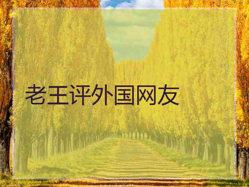 老王评外国网友
