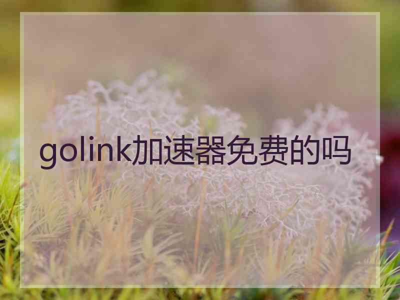 golink加速器免费的吗