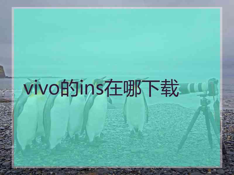 vivo的ins在哪下载