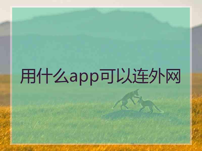用什么app可以连外网