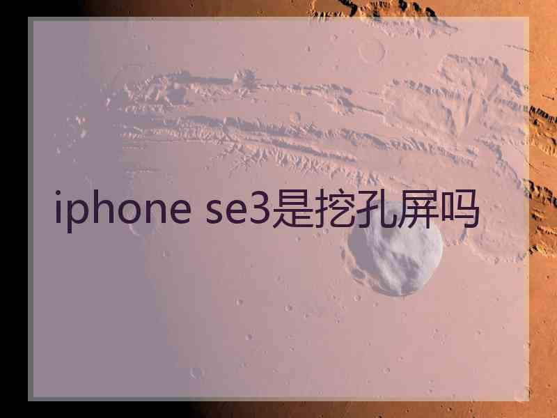 iphone se3是挖孔屏吗