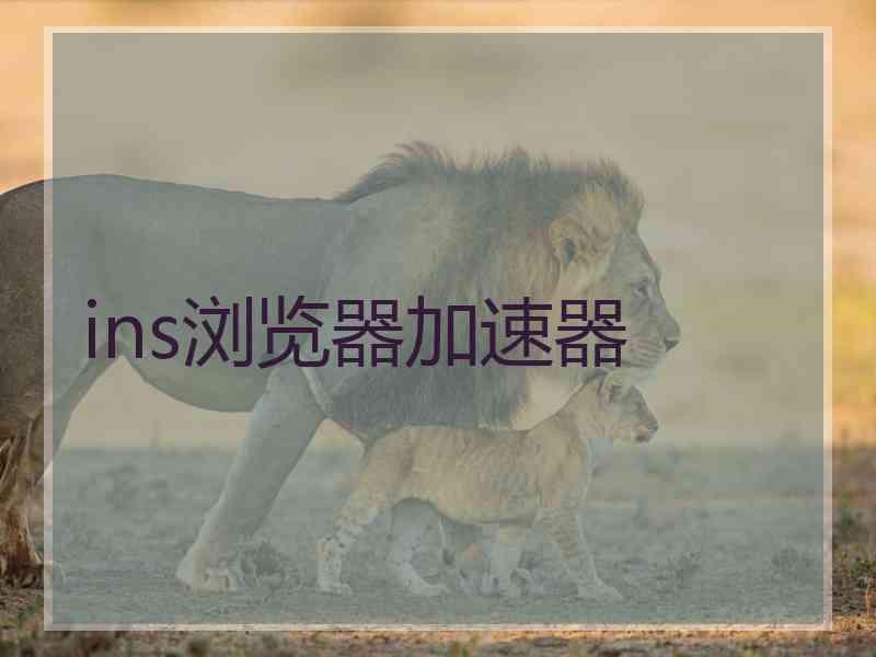 ins浏览器加速器