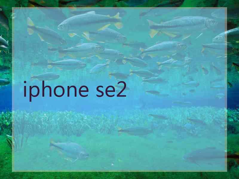 iphone se2