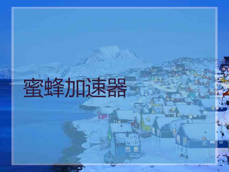 蜜蜂加速器