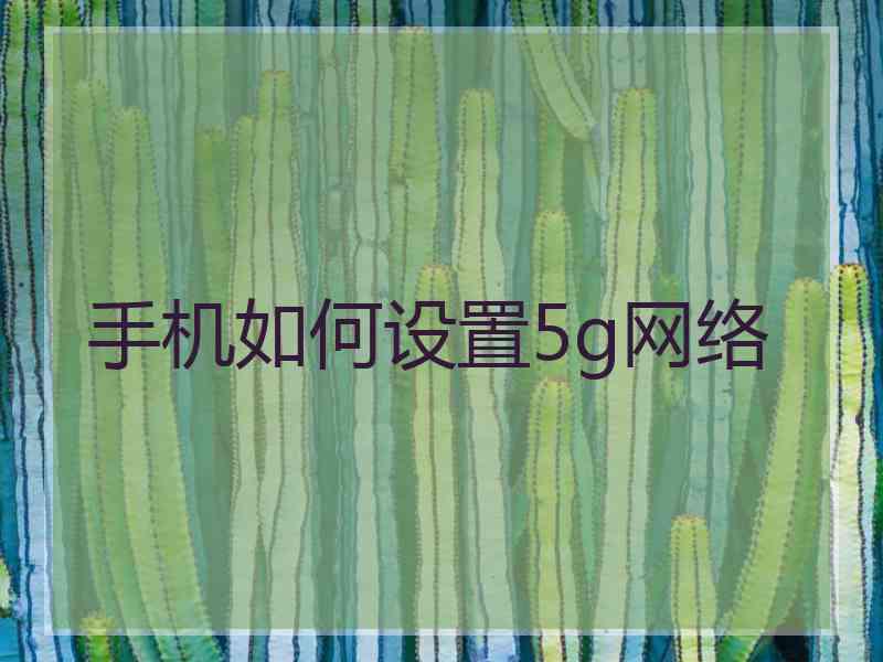 手机如何设置5g网络