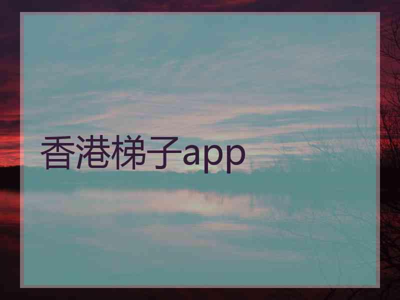香港梯子app