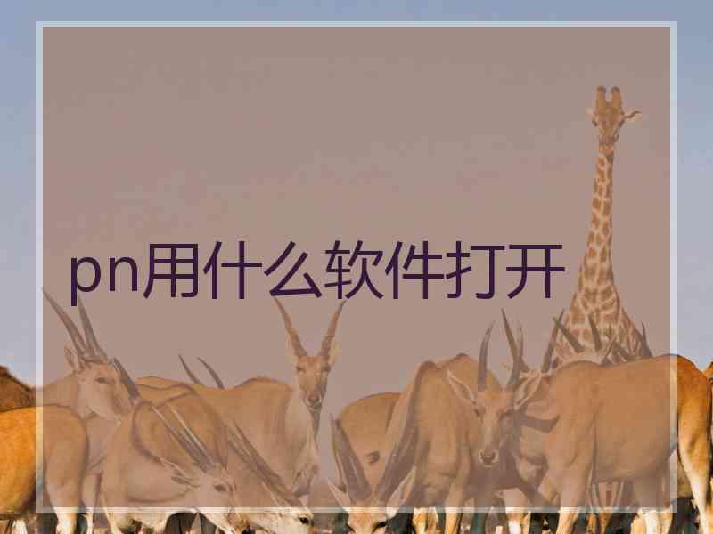 pn用什么软件打开