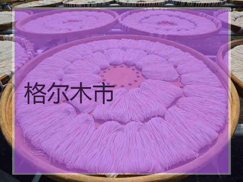 格尔木市