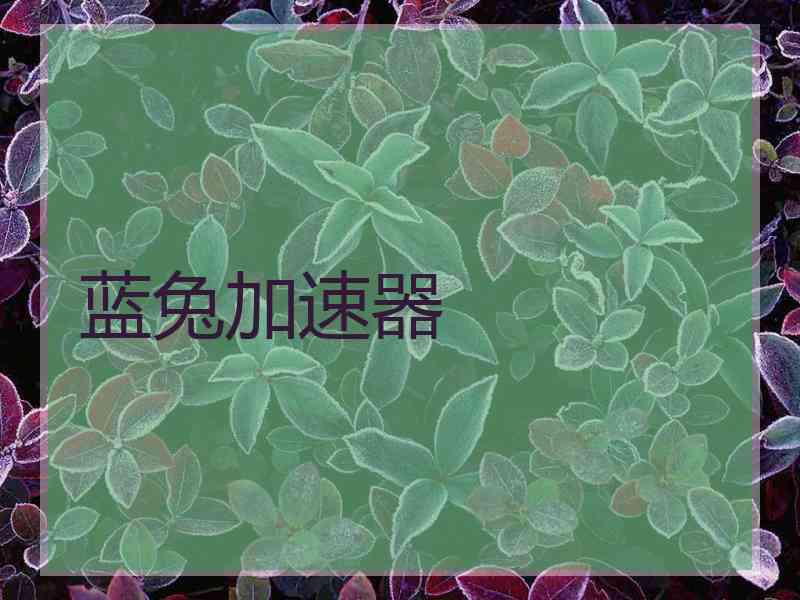 蓝兔加速器