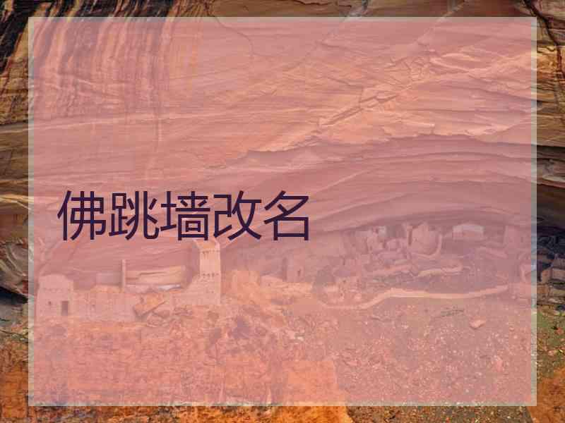 佛跳墙改名