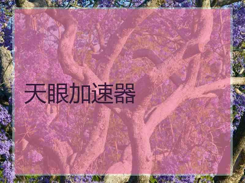 天眼加速器