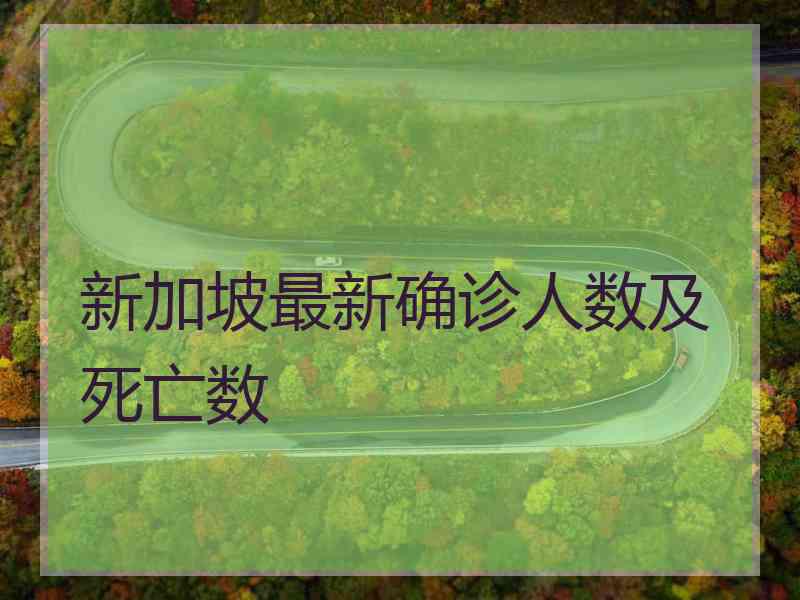 新加坡最新确诊人数及死亡数