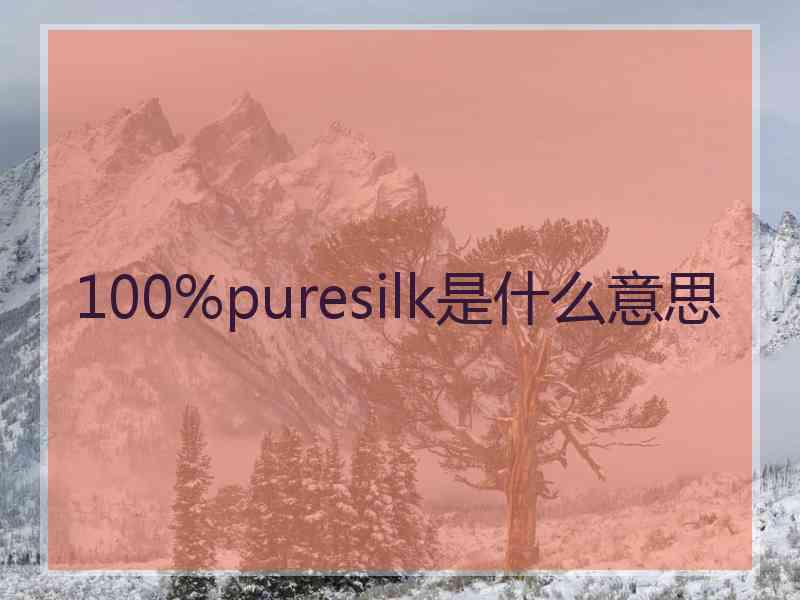 100%puresilk是什么意思