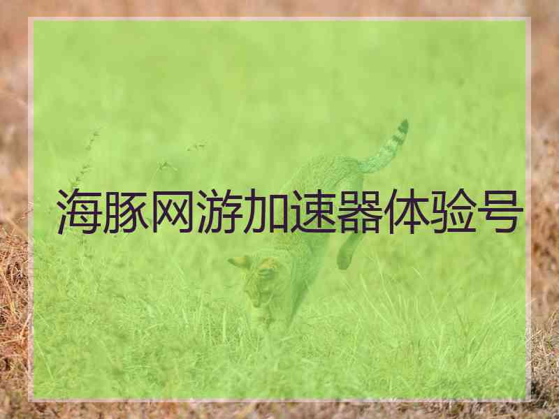 海豚网游加速器体验号