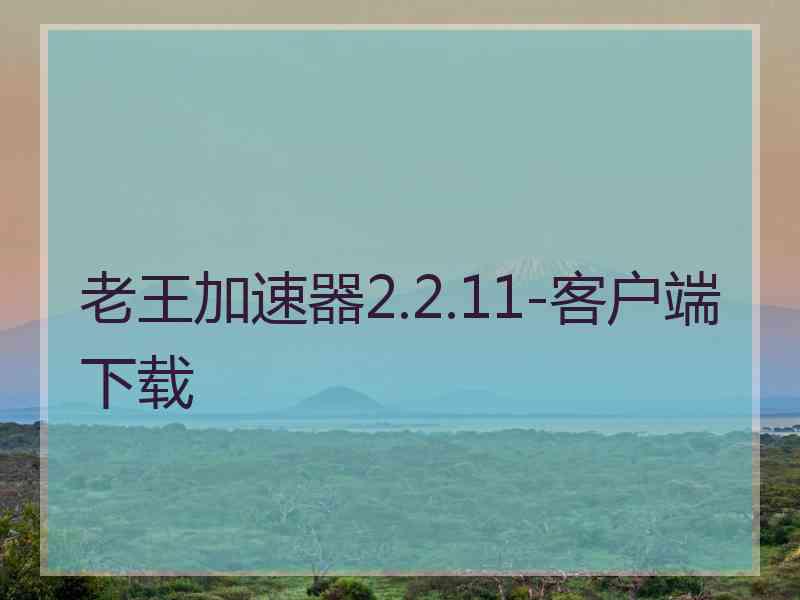 老王加速器2.2.11-客户端下载