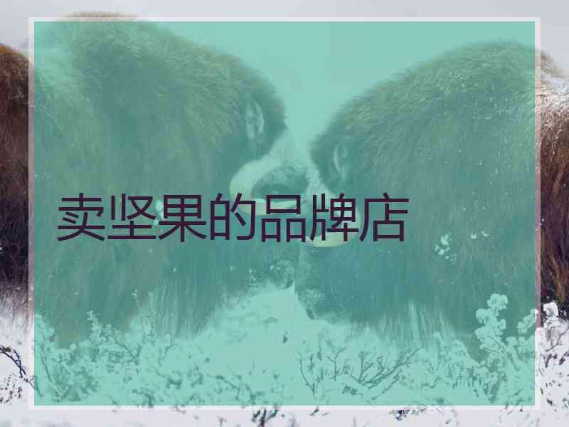 卖坚果的品牌店