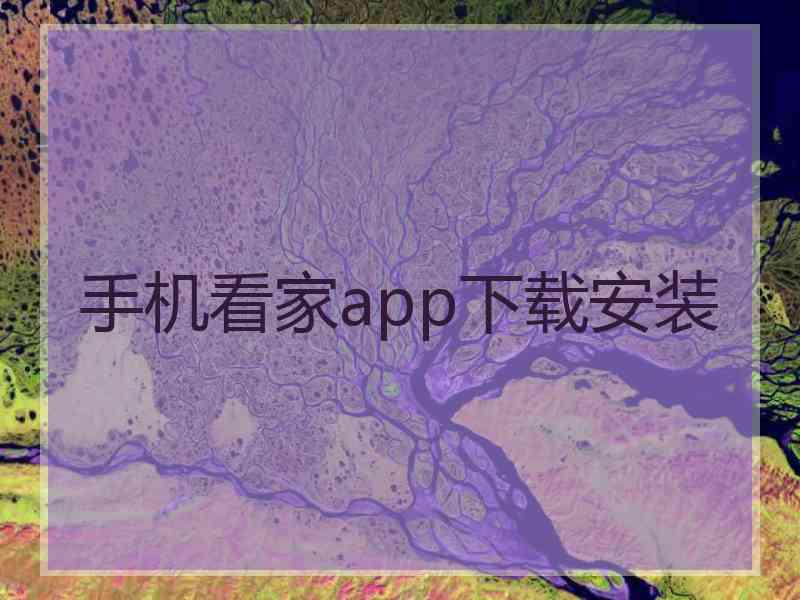 手机看家app下载安装