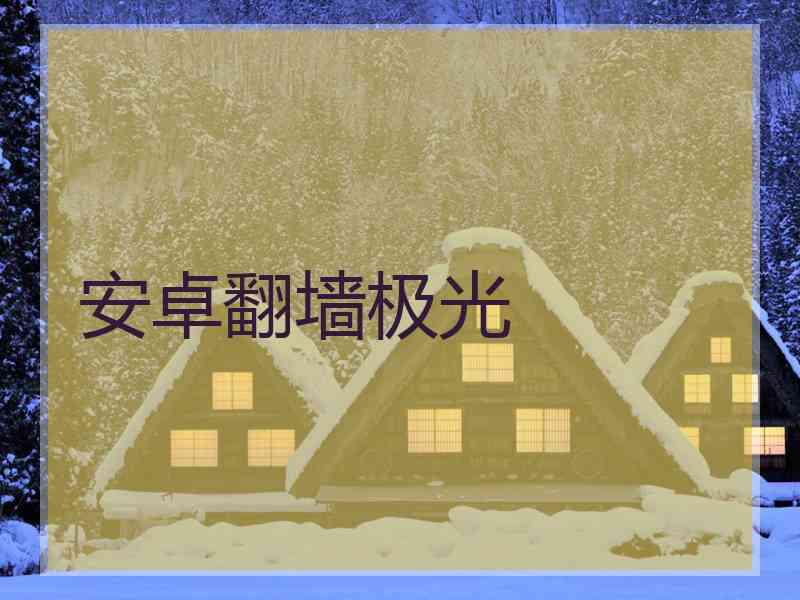 安卓翻墙极光