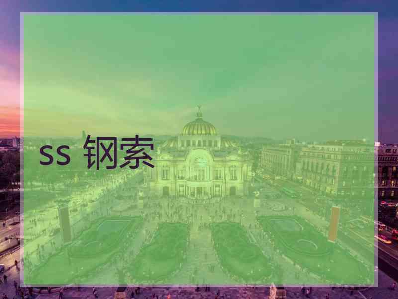 ss 钢索