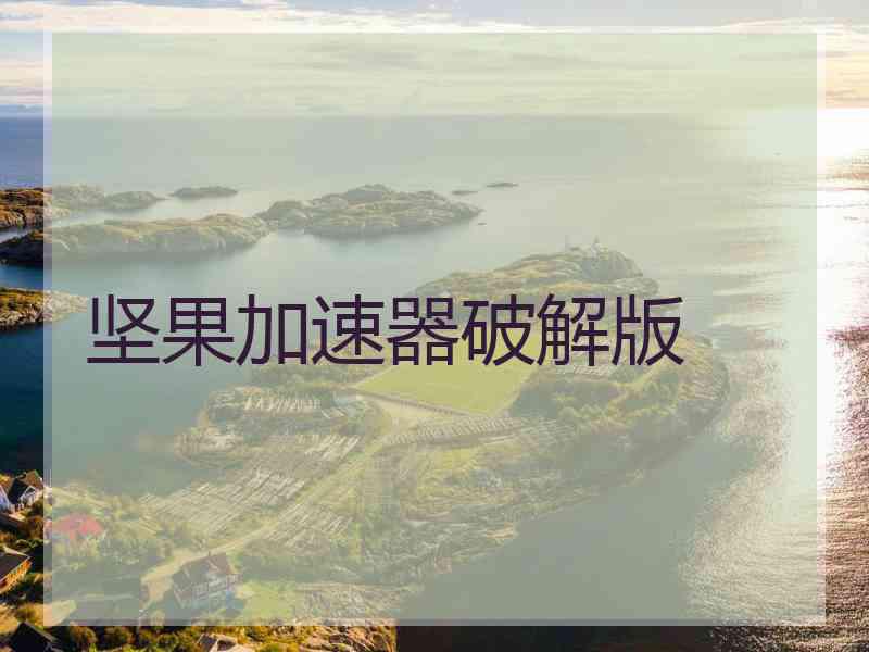 坚果加速器破解版