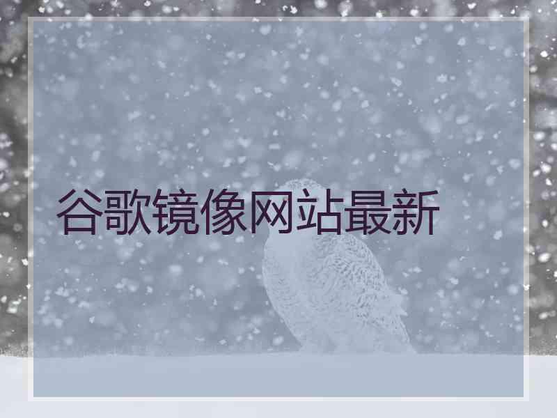 谷歌镜像网站最新