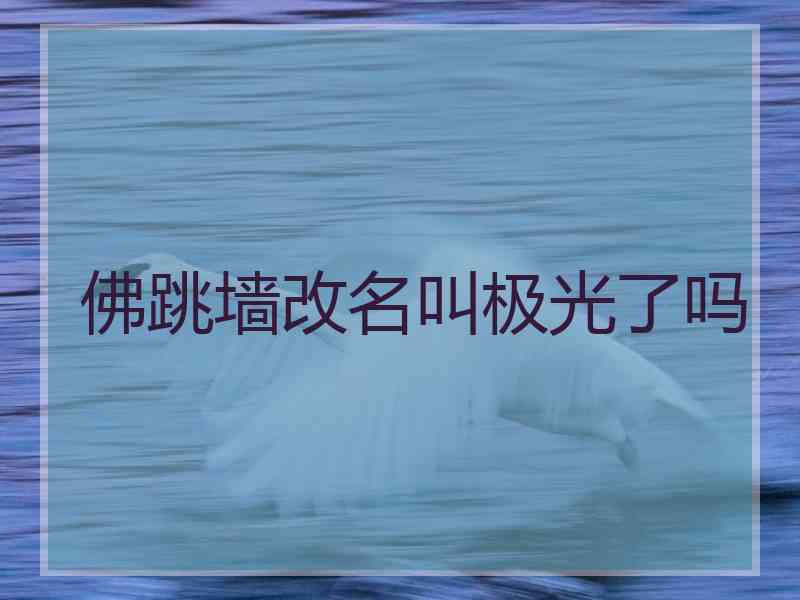 佛跳墙改名叫极光了吗