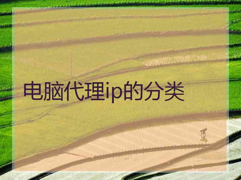 电脑代理ip的分类